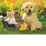 hi.............xD