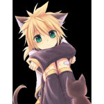 KingCat Oficial