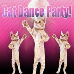 Cats and things