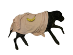 meowmeowmeowmoew