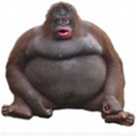 Monke Altar Cult