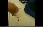 glue on da roach