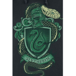 rhe slytherin Team