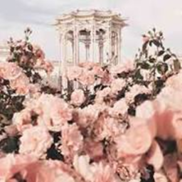 *:･ﾟ✧*:･ﾟ✧