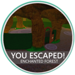 Enchanted Forest