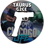 Taurus G2CE