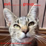 evil group (only evil)