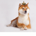 D0GG0S UNITE!