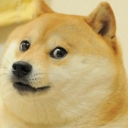 跑庫