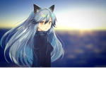 spookyfoxs