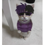 lil rid