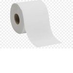 Toilet - paper - squad