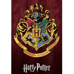 Harry Potter organization