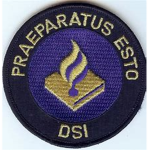 DSI|Nijmegen