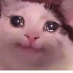يوسف511