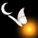 #NoSun