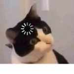 Bruh I will give you robux