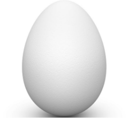 Egg meeting place