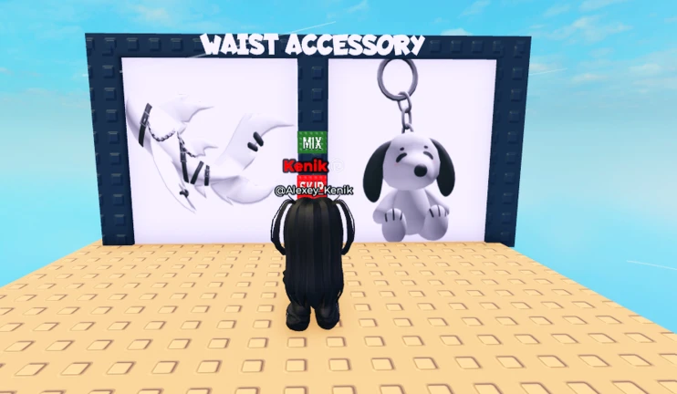 Waist Accessory Choice