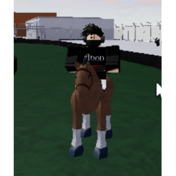 [UPDATE] HANGOUT! HORSE AND CAR RACING!