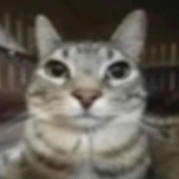 Untitled strange game