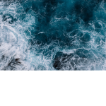 Ocean family :3
