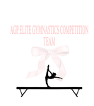 AGP ELITE GYMNASTICS COMPETITION TEAM