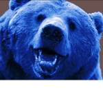 Blue Bear Bois