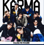 Lily's Stray Kids Fangroup