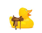 Duck Riders!