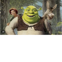 goofi war