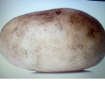 Potato rights
