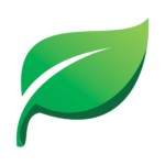 Leaf - Studios