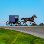 Sword Fighting Amish