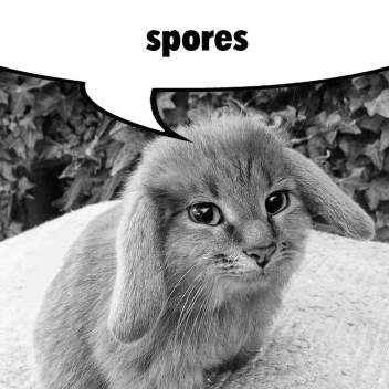 spores [olden]