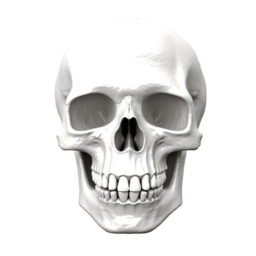 TEST 01