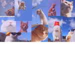 Los gatinis superpoderosos xdd