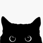 midnight kitties00