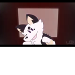 DOGGGGGSSS