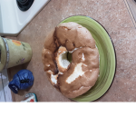 Sad bagle
