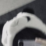 sh0rtxCak3