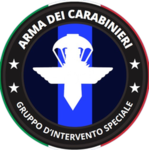 G.I.S. || • Arma Dei Carabinieri 2022 •