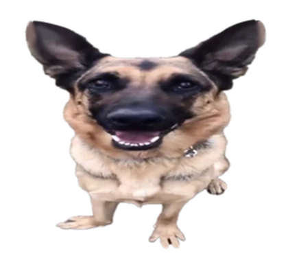 Valde Tutoriales Comunidad Roblox group icon