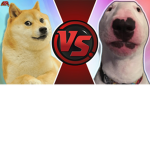 DOGE VS WALTER