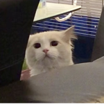 ʸᵘʰʰ