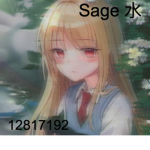 Sage 水