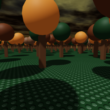 Forest