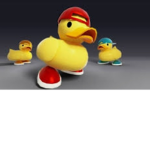 Duck donate