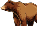Strong brown bear s