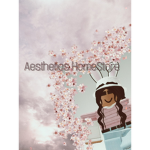 Aesthetics Clothes Shop